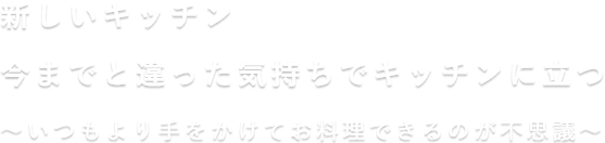 新しくしたキッチン