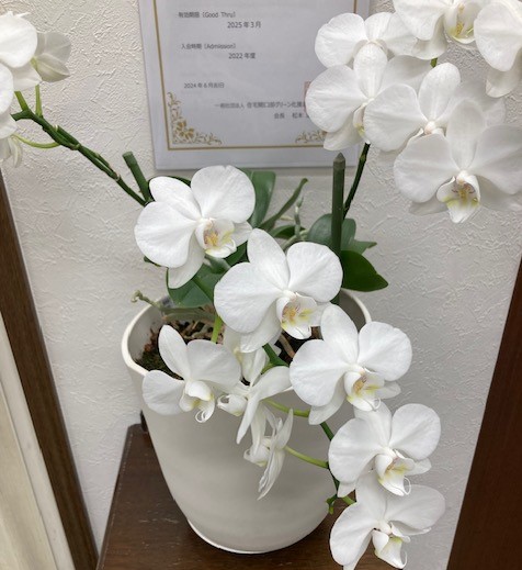 冬期休暇のお知らせ